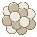 Nuclear Theory icon