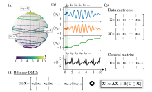 The bilinear dynamic mode decomposition is a regression-based algorithm that uses the assembled data matrices and control input from sufficiently-resolved data to learn the drift, A and the control, B, for quantum control dynamics.