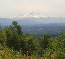 croppedmountain