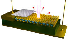 nanoarpes.png