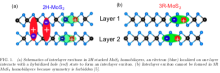 Inter- and intralayer excitons