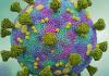 Physics Virus Sotry Image