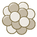 Nuclear Theory icon